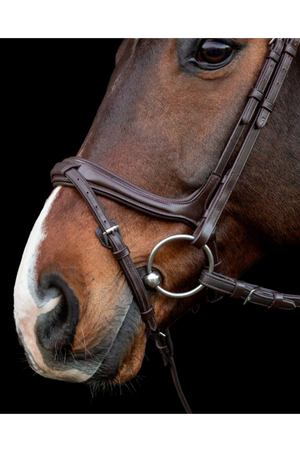 Schockemohle_Ancona_Select_Bridle