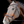Schockemohle_Ancona_Select_Bridle