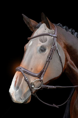 Schockemohle_Ancona_Select_Bridle