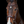 Schockemohle_Ancona_Select_Bridle