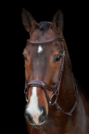 Schockemohle_Ancona_Select_Bridle