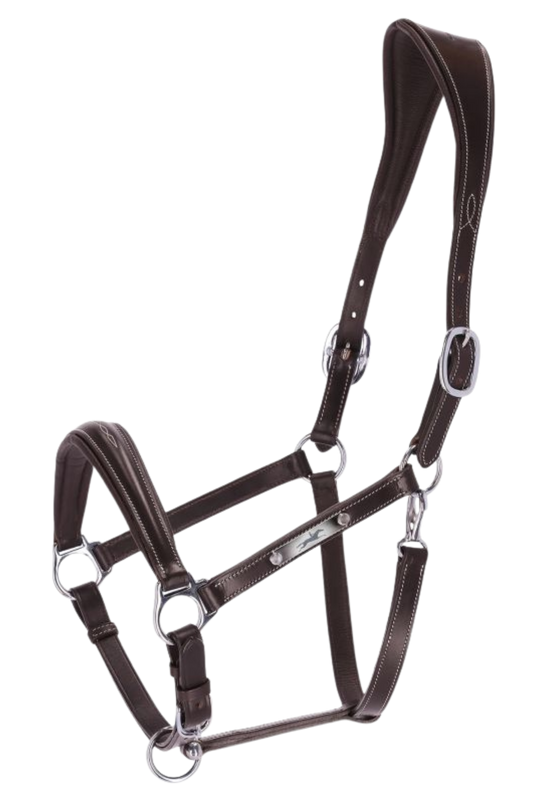 Schockemohle_SP_Frisco_Halter