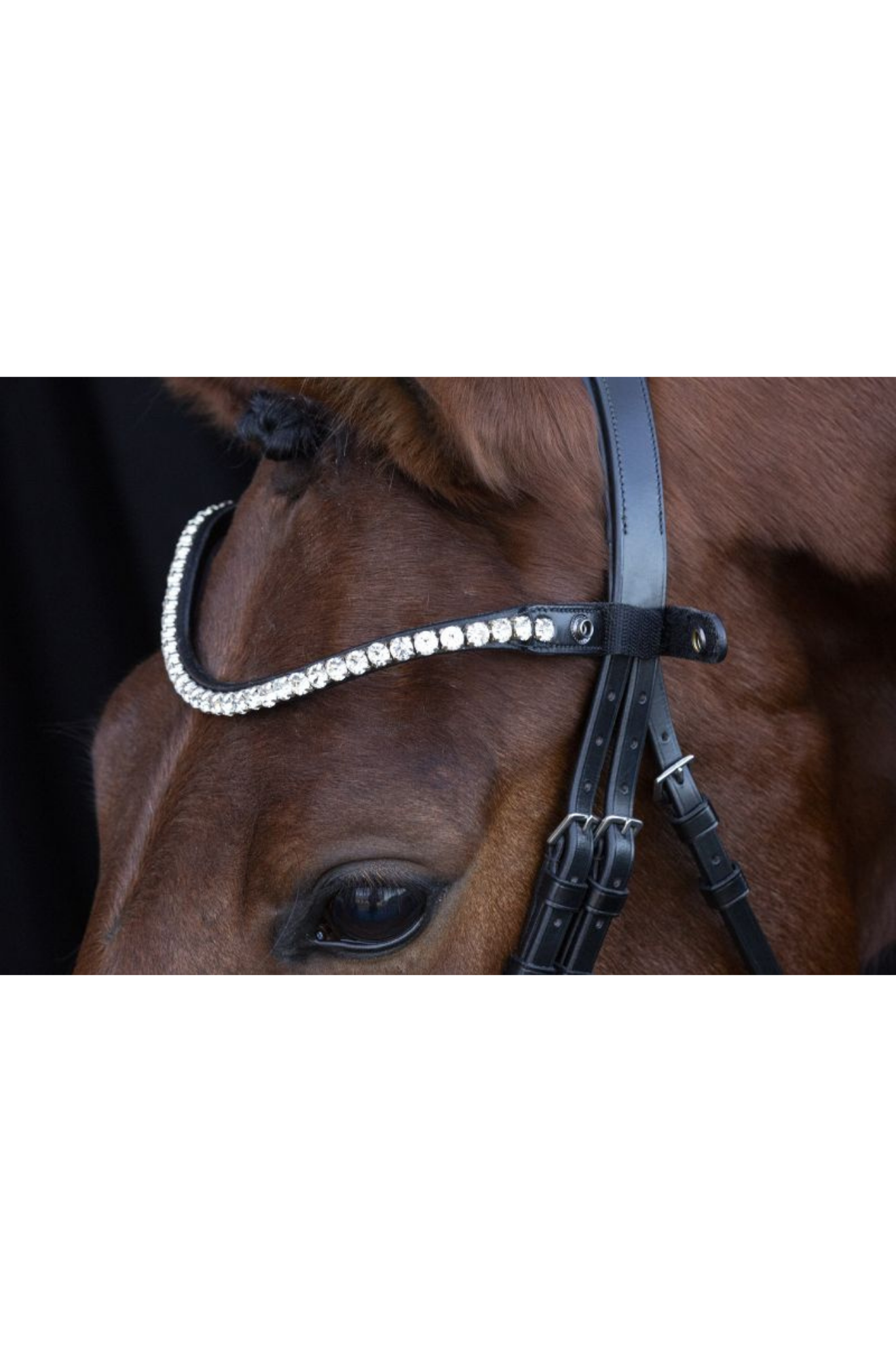 Schockemohle_Siena_Bridle