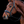 Schockemohle_Siena_Bridle