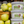 Stud_Muffins_Apple_Horse_Treats