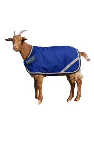 Tempest_200_Goat_Rug