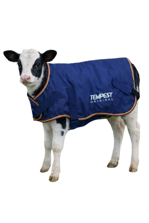 Tempest_Original_Calf_Coat