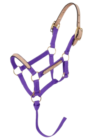 Tough1_Mini_Break_Away_Halter