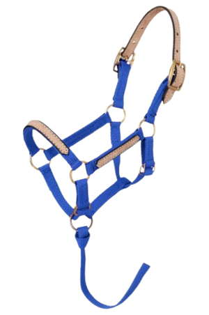 Tough1_Mini_Break_Away_Halter