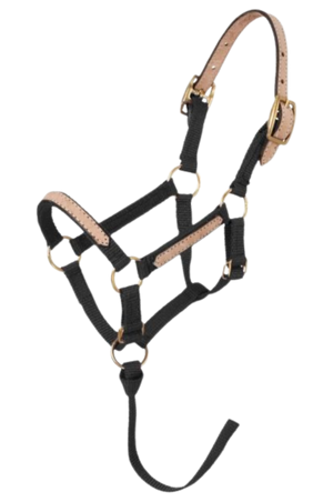 Tough1_Mini_Break_Away_Halter