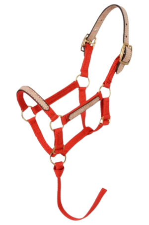 Tough1_Mini_Break_Away_Halter