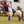 Toy_Pony_Pad