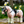 Toy_Pony_Pad