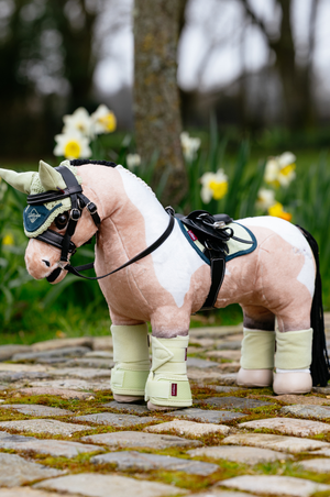 Toy_Pony_Pad