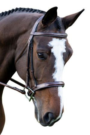 Tuscany_Bridle_Raised_Ergonomic