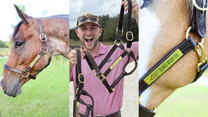 A three-panel collage showing a horse halter set in use. The left panel shows a brown horse wearing the halter in a grassy field.