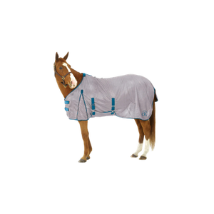 Horse wearing a gray fly sheet with blue straps on a white background