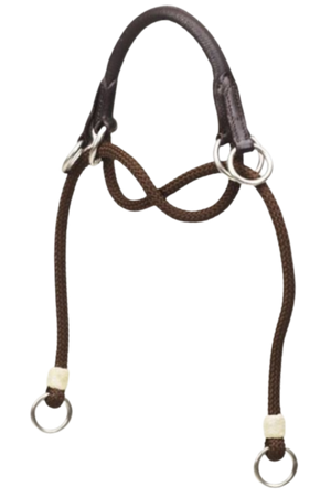Bitless Noseband