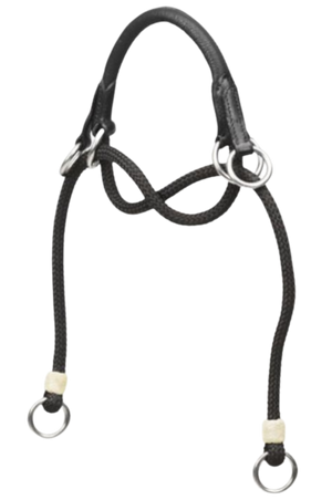 Bitless Noseband