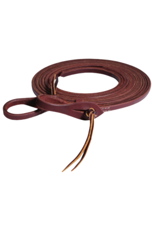 A brown leather horse rein with metal buckles.