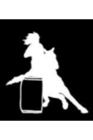 Window Decals