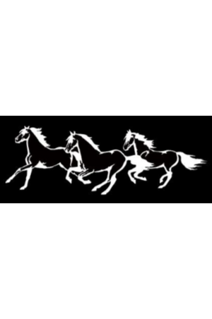 Window Decals