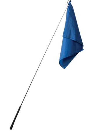 A blue training flag with a pole, against a transparent background.