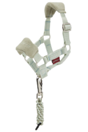 A white pony sized halter and lead set, designed for equestrian use.