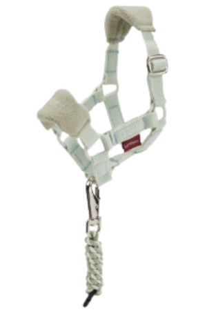 A white pony sized halter and lead set, designed for equestrian use.