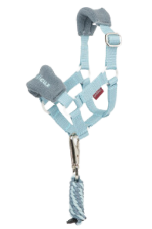 A white pony sized halter and lead set, designed for equestrian use.