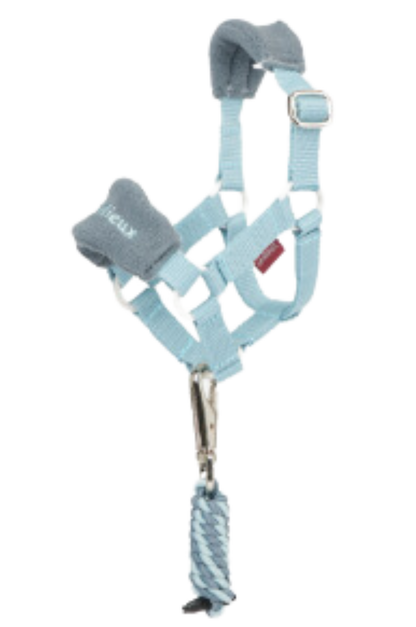 Toy Pony Vogue Halter & Lead