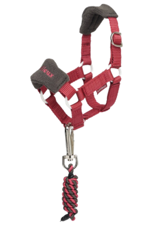 A white pony sized halter and lead set, designed for equestrian use.