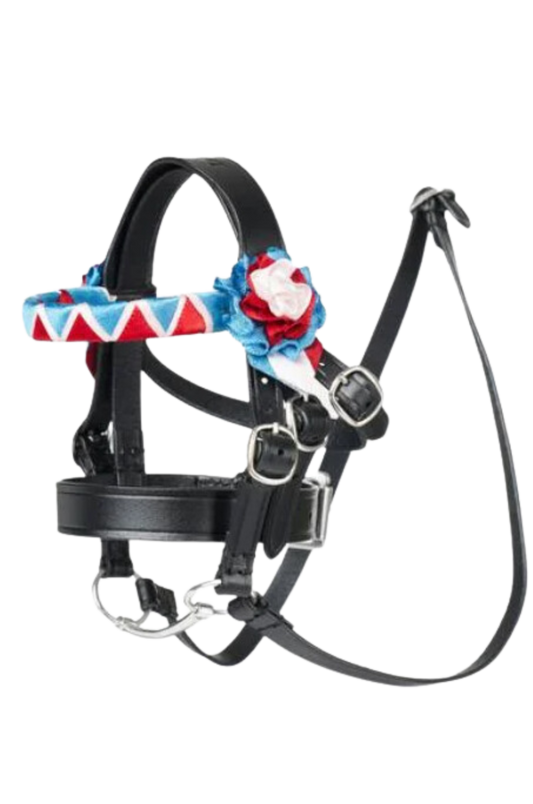 TOY PONY SHOWING BRIDLE