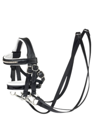 A double bridle for horses, featuring a headstall and a second headstall attached with a pair of reins.