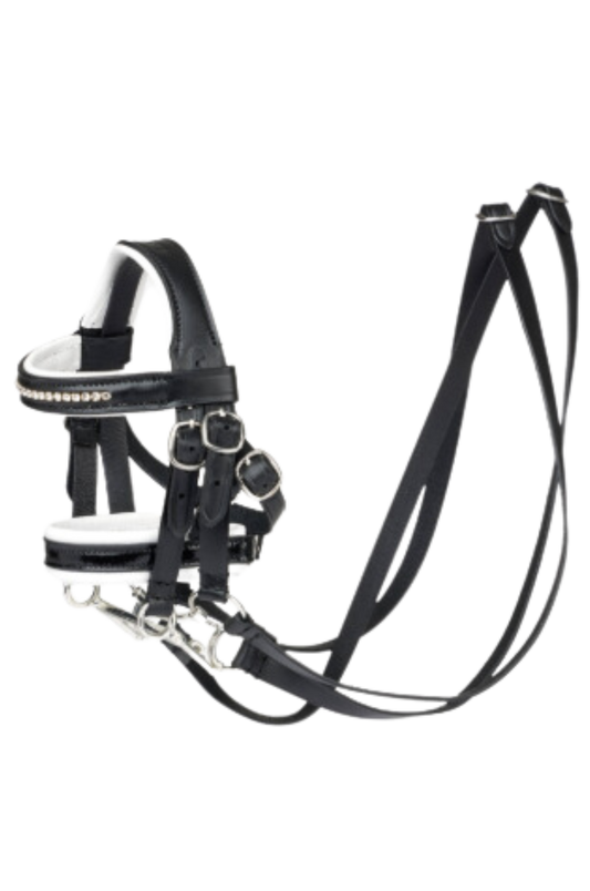 TOY PONY DOUBLE BRIDLE