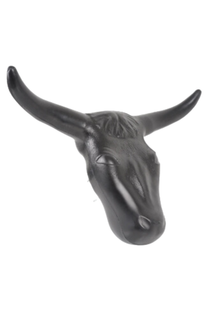 A black and white image of a steer head.