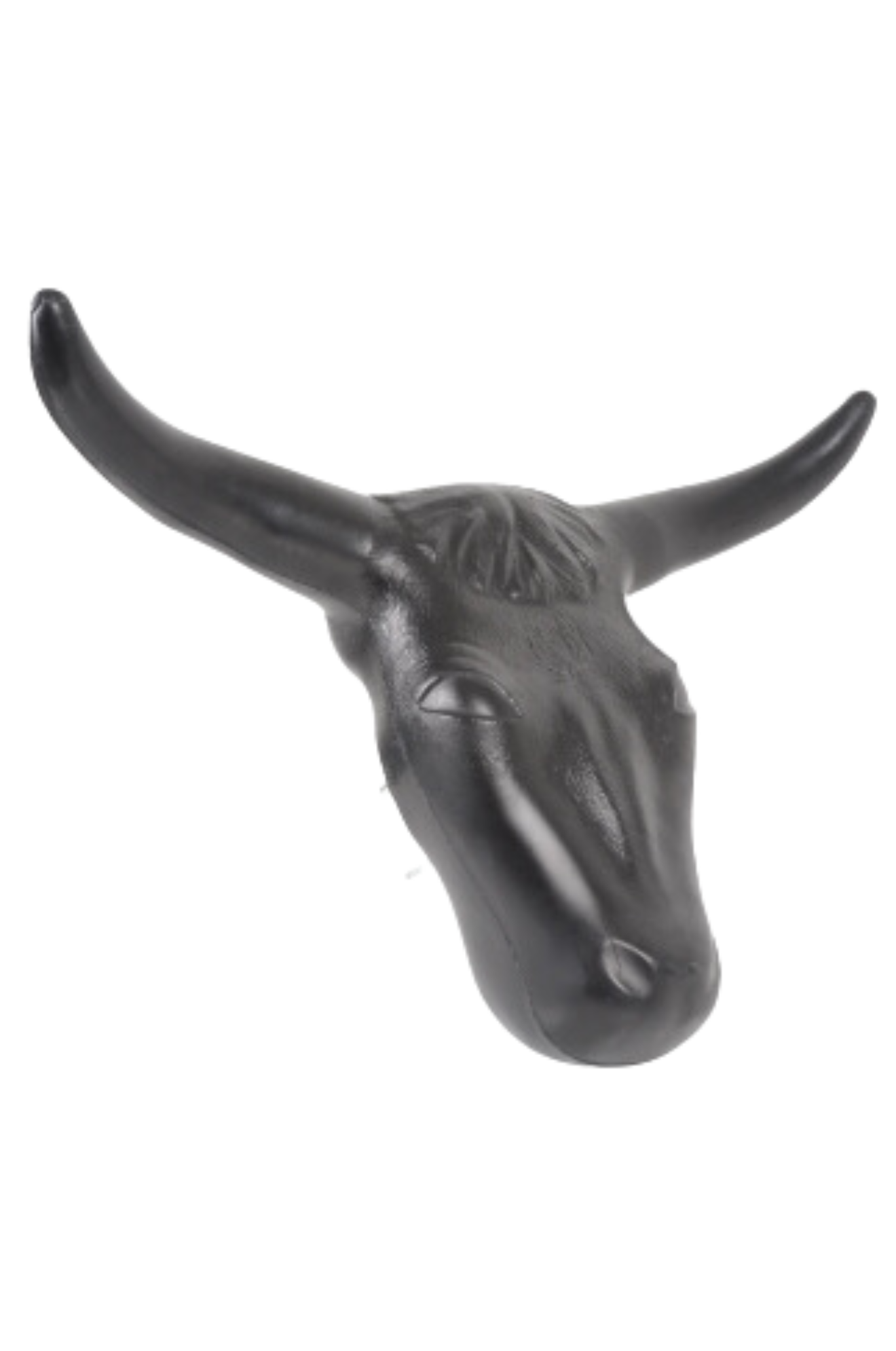 A black and white image of a steer head.