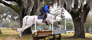 Person riding a white horse over an obstacle in an equestrian setting