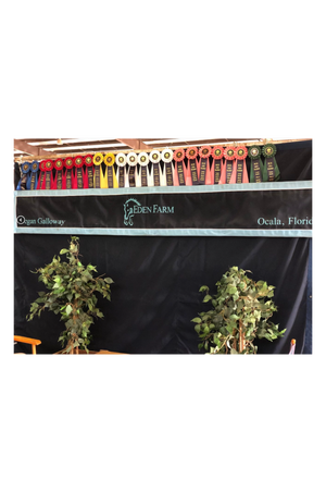 A custom valance banner with the text 'FLYING SHEEP FARM' along with an image of sheep on it, against a black background.