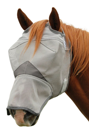A horse wearing a gray Crusader long nose fly mask, which covers the horse's eyes, lashes, and temples to protect against UV rays and flies.