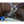 A pair of blue nylon cross ties with metal clasps and buckles on horse halter.