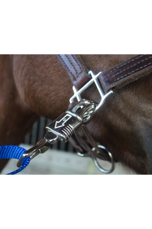 A pair of blue nylon cross ties with metal clasps and buckles on horse halter.
