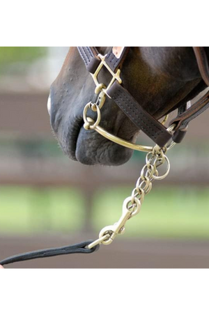 A leather shank with a metal chain link, typically used as part of a horse bit.