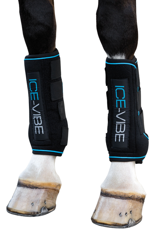 ICE-VIBE BOOT