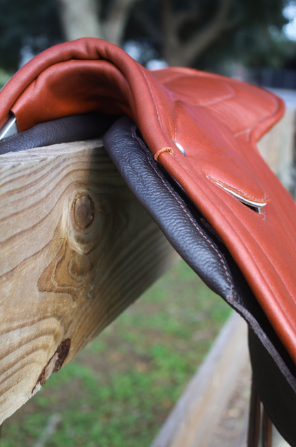 TS EXERCISE SADDLE