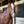 A pair of nylon cross ties with metal clasps and buckles on horse cross tied in halter.