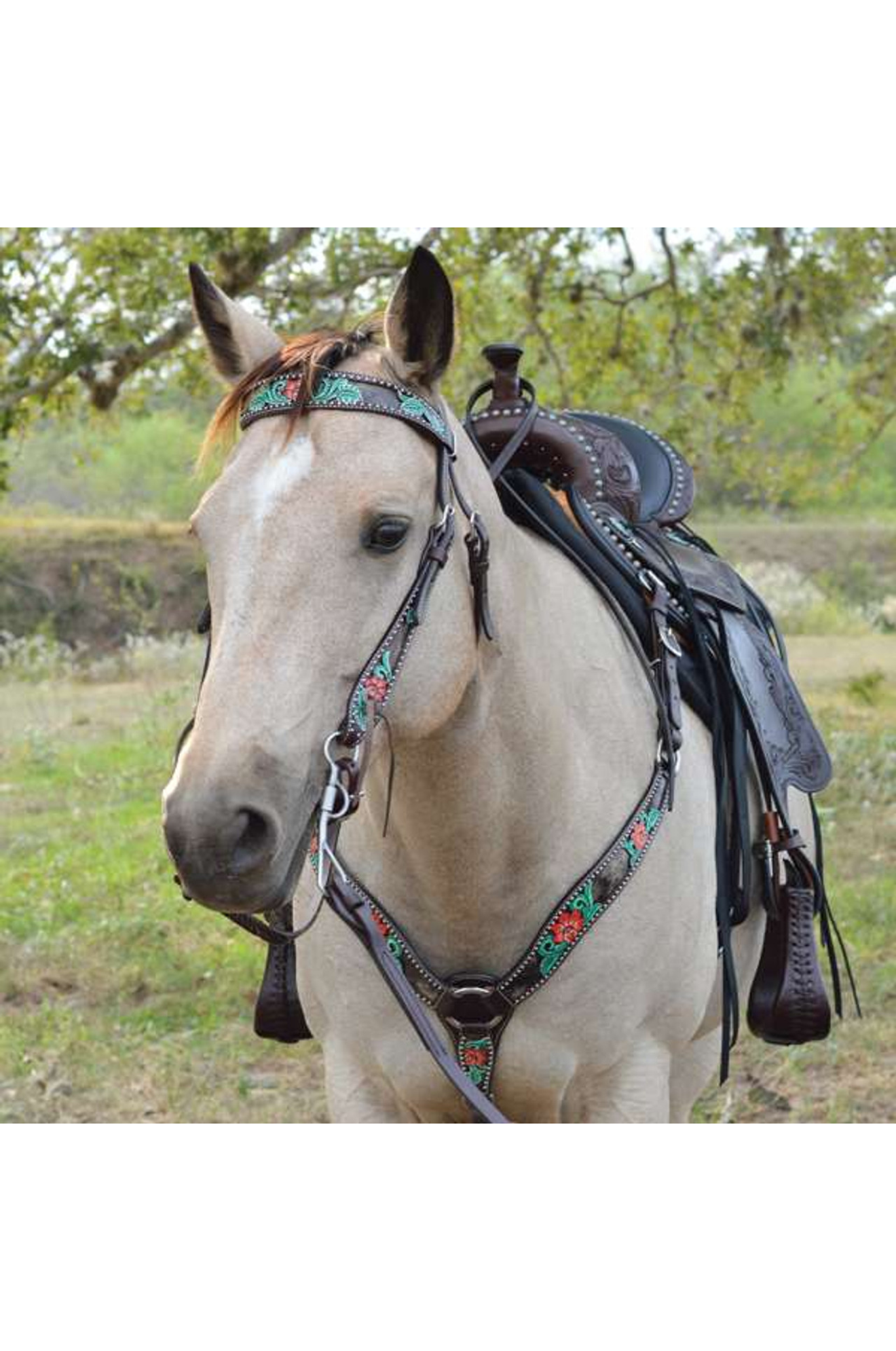 CIRCLE Y CACTUS FLOWER BB HEADSTALL disc