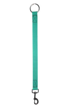 A bucket hanger with a chrome ring and snap.