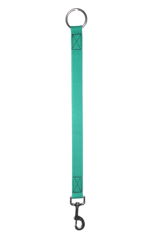 A bucket hanger with a chrome ring and snap.