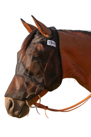 A brown horse wearing a black quiet ride fly mask with long nose cover.